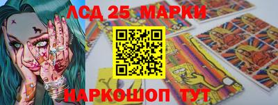 гашик Новозыбков
