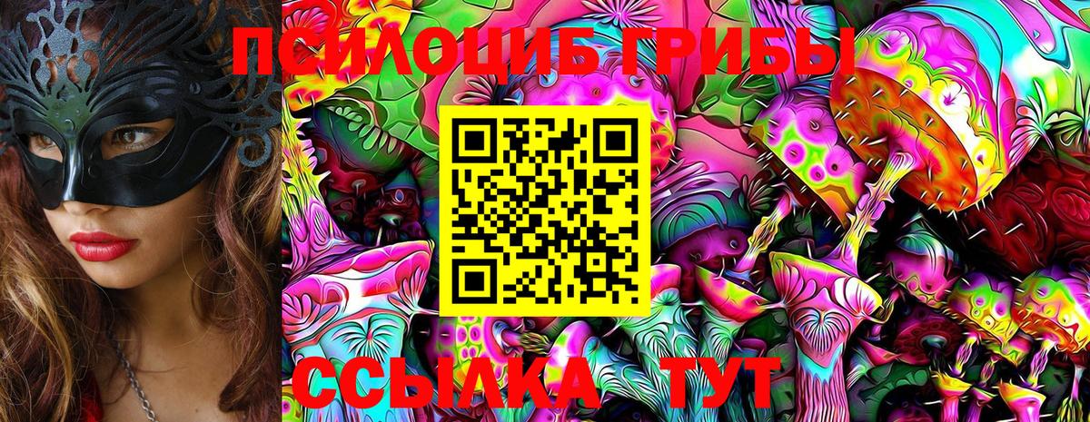 Псилоцибиновые грибы GOLDEN TEACHER  Галлюциногенные грибы прущие грибы  Вход с VPN  Ртищево 